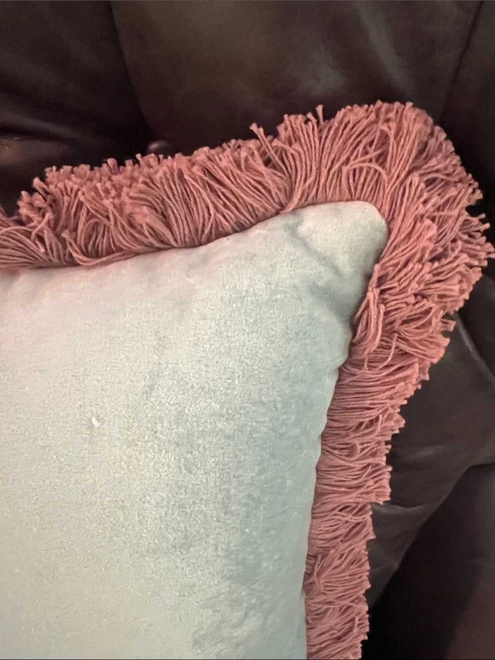 Threshold Decorate Tiffany Blue Fringed Pillow